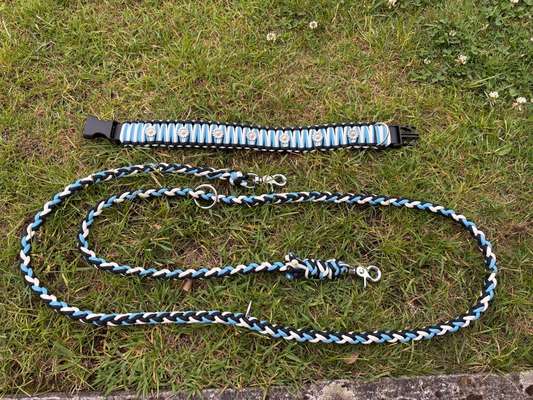 Qualitativ hochwertige Leine 3 - 5 m gesucht-Beitrag-Bild