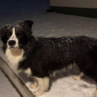 Was hat euch heute genervt?-Beitrag-Bild