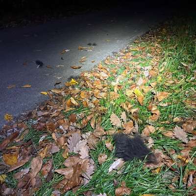 Was hat euch heute genervt?-Beitrag-Bild