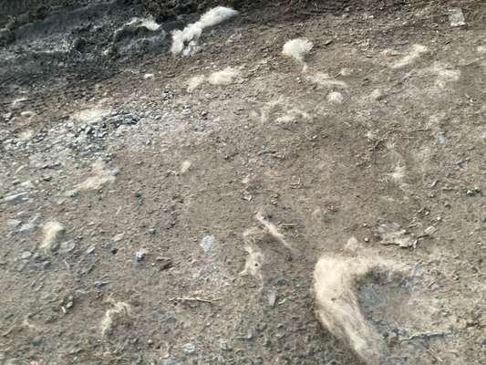 Was hat euch heute genervt?-Beitrag-Bild