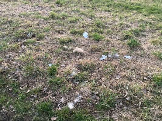 Was hat euch heute genervt?-Beitrag-Bild