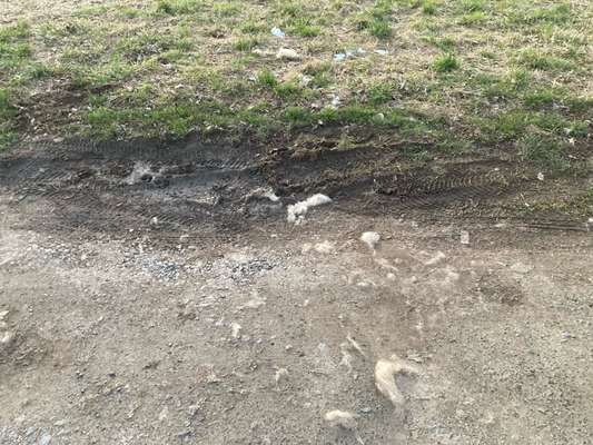 Was hat euch heute genervt?-Beitrag-Bild