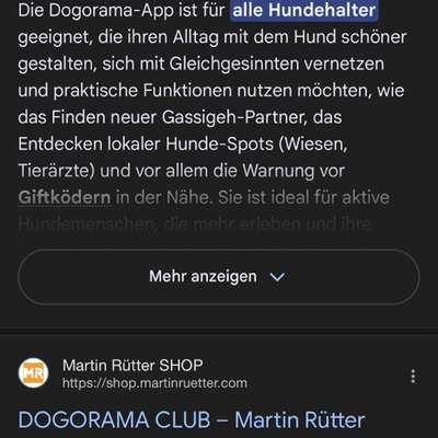 KI und Hundehaltung-Beitrag-Bild