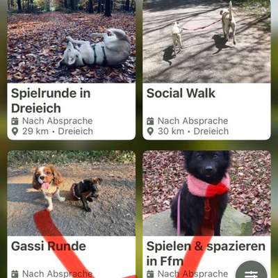 Hundekontakt in Geestland/Langen-Beitrag-Bild