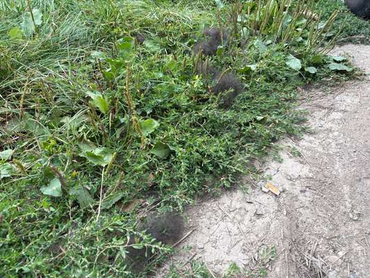 Was hat euch heute genervt?-Beitrag-Bild