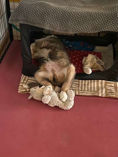 Die unbequemsten und lustigsten Schlafpositionen-Beitrag-Bild