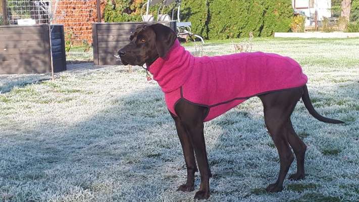 Dogorama Photo Challenge - Tre Chic!-Beitrag-Bild