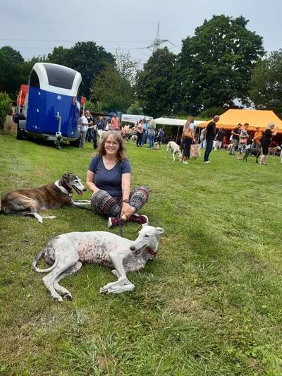 Windhunde - Treffen der besonderen Schönheiten
HERZLICH WILLKOMMEN-Beitrag-Bild