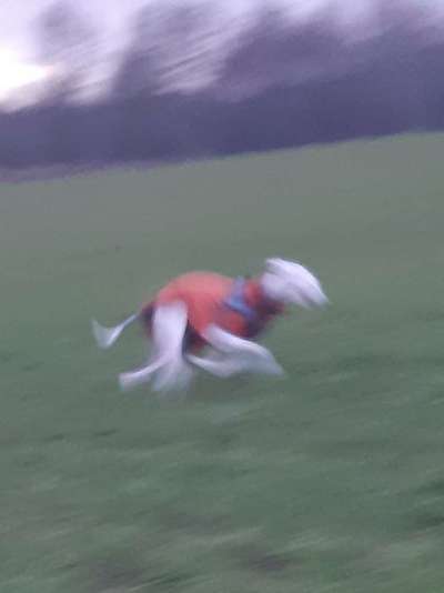 Un...scharf Bilder-Beitrag-Bild