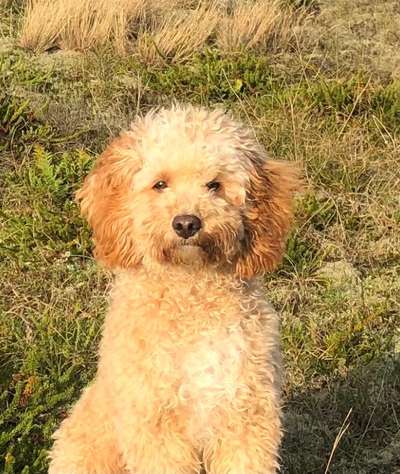 Fotochallange Nr. 57     PORTRÄT.   Beendet!!!!!!!!-Beitrag-Bild