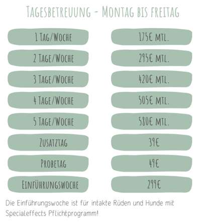 %{de_profession_title}-Preise Tagesbetreuung-Bild