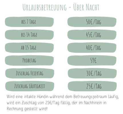 %{de_profession_title}-Preise Urlaubsbetreuung-Bild