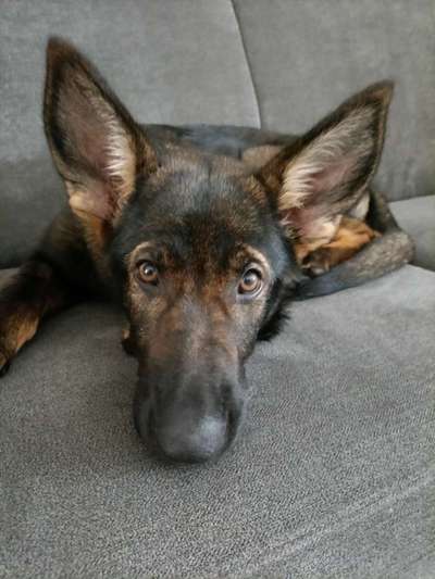 Fotochallange Nr. 57     PORTRÄT.   Beendet!!!!!!!!-Beitrag-Bild