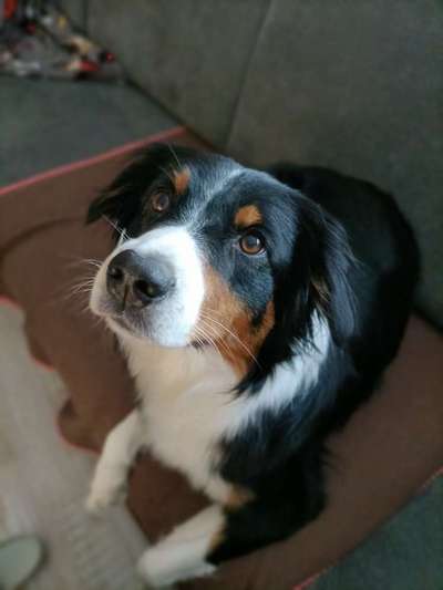 Fotochallange Nr. 57     PORTRÄT.   Beendet!!!!!!!!-Beitrag-Bild