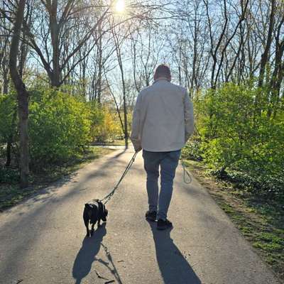 Hundetreffen-Training von Hundebegegnungen-Bild