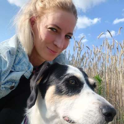 Hundetreffen-Gassirunde-Profilbild