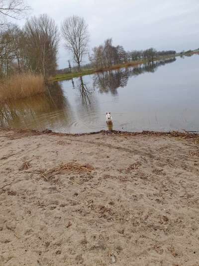 35. Handy Foto Challenge - Das nasse Element-Beitrag-Bild