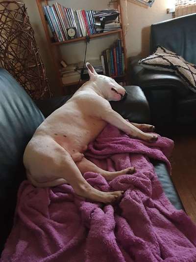 Schlafzeit!💖-Beitrag-Bild