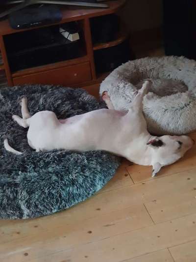 Schlafzeit!💖-Beitrag-Bild