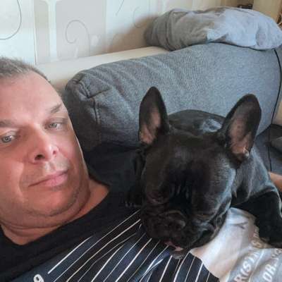 Hundetreffen-Spiel und Gassirunde in Wenden-Profilbild