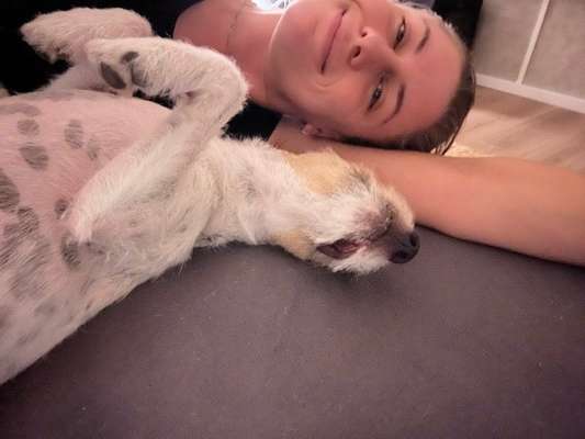 Hundetreffen-Gassi-Freunde & Training-Bild