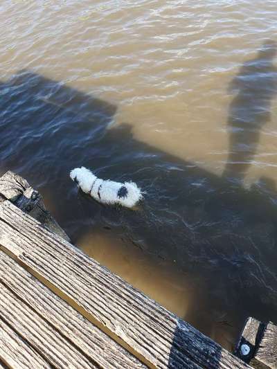 Eure schönsten Fotos mit Wasser-Beitrag-Bild