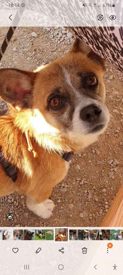 In welchem bundesland lebt ihr-Beitrag-Bild