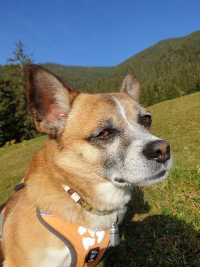 Leute aus Oberbayern?-Beitrag-Bild