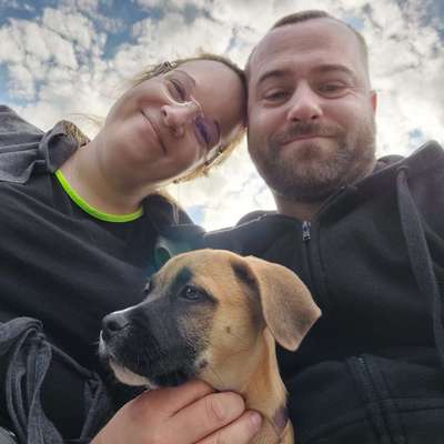 Hundetreffen-Hundeplatz Henningsdorf-Profilbild