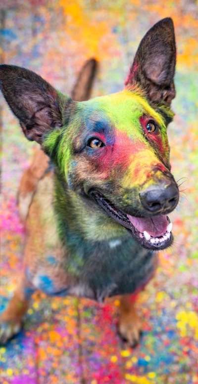 6. Farben Foto Challenge: "ColourKey Effekt"-Beitrag-Bild