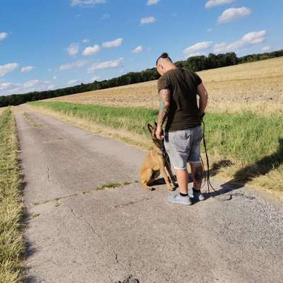 Hundetreffen-Trainingseinheit + Spiel für meinen Mali