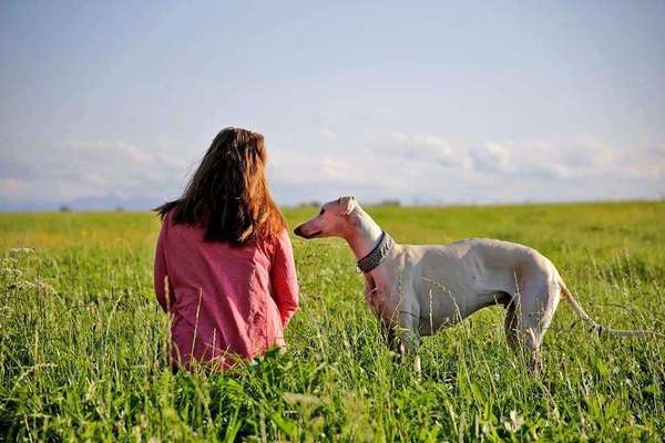 Die Dogorama Monats Challenge "Es grünt und blüht"-Beitrag-Bild