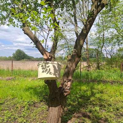 Hundetreffen-Eröffnung Hundewiese Gransee-Bild