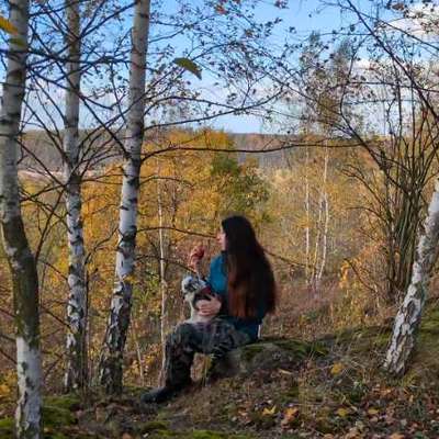 Hundetreffen-Treffen der kleinen Hunde 🐶🐕-Bild