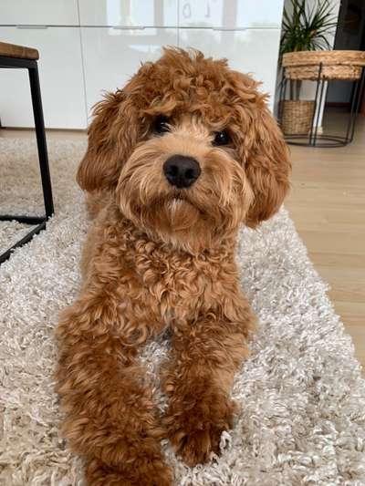 Lieblingsbild-Beitrag-Bild