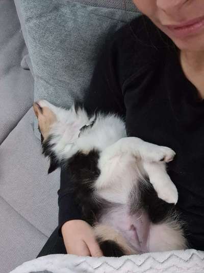 Fotochallenge Nr.65-Beitrag-Bild