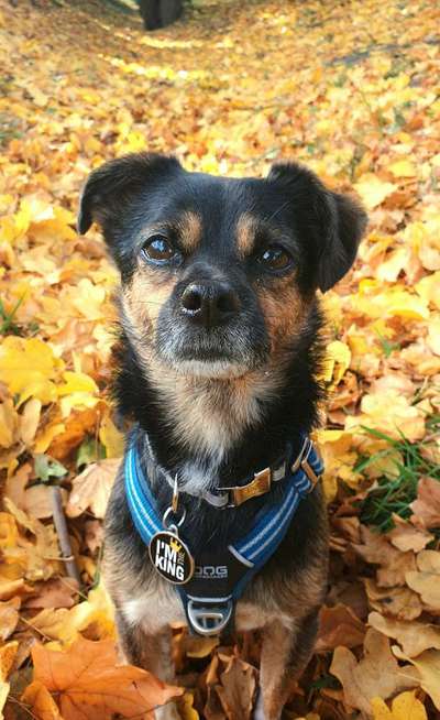 Lieblingsbild-Beitrag-Bild