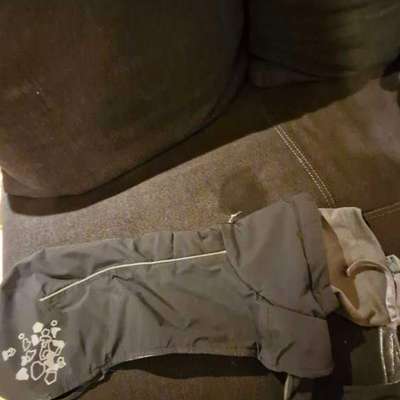 Welche Mäntel empfehlt ihr?-Beitrag-Bild