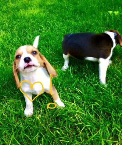 Foto Challenge 82-Beitrag-Bild