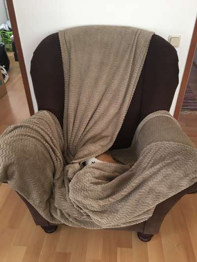 4. Lustiger Schlafplatz-Beitrag-Bild