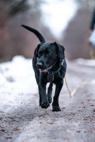 Fotochallenge Nr. 67: Euer Lieblingsbild-Beitrag-Bild