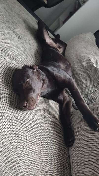 Die unbequemsten und lustigsten Schlafpositionen-Beitrag-Bild