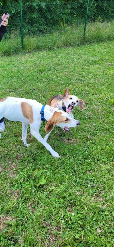 Fotochallenge 87: Im Park-Beitrag-Bild