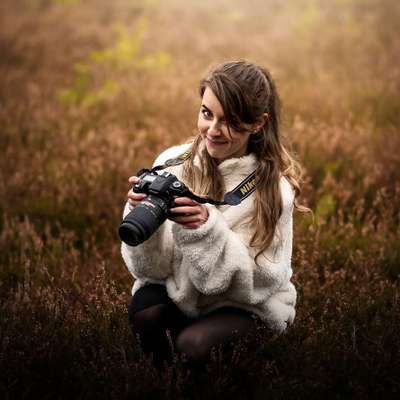 Tierfotografen-fokuspokus Tierfoto-Bild