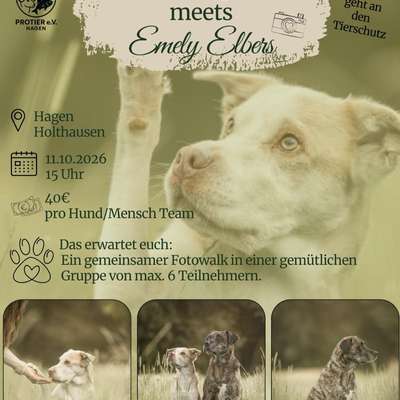 Hundetreffen-Fotowalk in Holthausen-Bild
