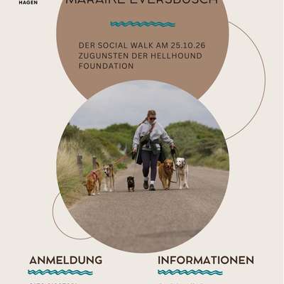 Hundetreffen-Social Walk - mit Hundetrainerin Maraike Eversbusch-Bild