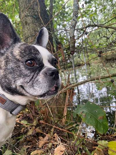 68. Handy Foto Challenge: "Ins Netz gegangen"-Beitrag-Bild