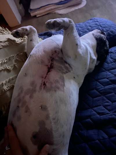 Knubbel entfernen ja oder nein?-Beitrag-Bild