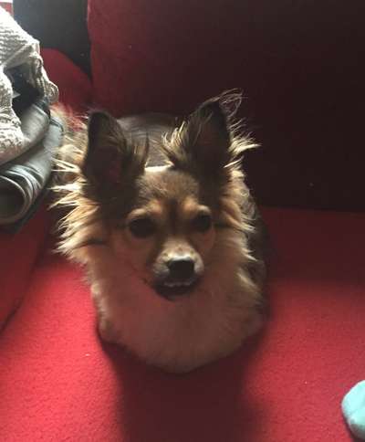 69. Handy-Fotochallenge: Soundtrack-Beitrag-Bild