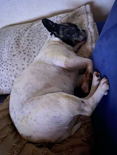 69. Handy-Fotochallenge: Soundtrack-Beitrag-Bild